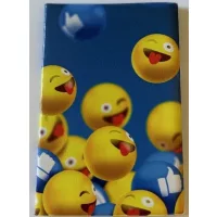 Okmánytartók, bérlettokok, diákigazolvány tokok, oklevéltartók