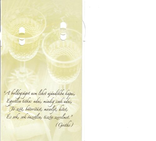 Képeslap Házassági évfordulóra! állítható évszámmal, borítékkal  "CC" 17-09