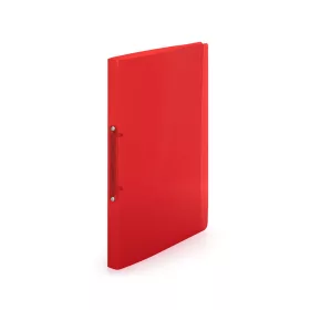   Gyűrűskönyv A4, 2 gyűrűs 2cm gerinc áttetsző PP, Karton P+P Lines piros