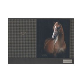 Füzetborító A/4 papírbetétes 420x290 mm Geo Horse