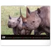 Falinaptár képes  480x330mm Wild Africa Realsystem 2027.