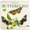 Falinaptár képes lemeznaptár 300x300mm, Butterflies Realsystem 2027.