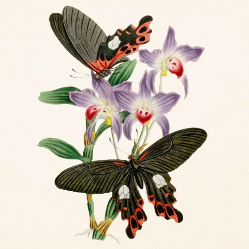 Falinaptár képes lemeznaptár 300x300mm, Butterflies Realsystem 2027.