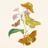 Falinaptár képes lemeznaptár 300x300mm, Butterflies Realsystem 2027.
