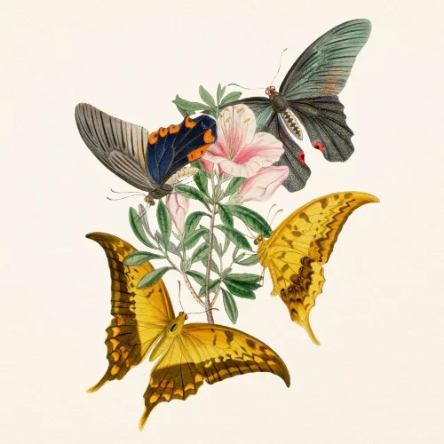 Falinaptár képes lemeznaptár 300x300mm, Butterflies Realsystem 2027.