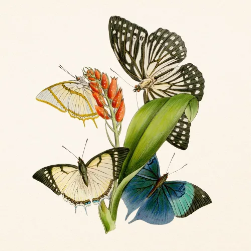 Falinaptár képes lemeznaptár 300x300mm, Butterflies Realsystem 2027.