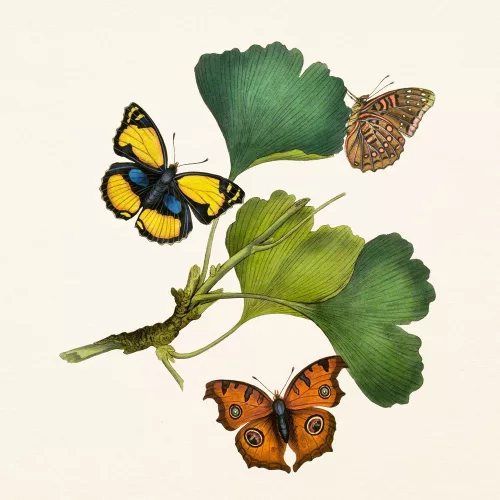 Falinaptár képes lemeznaptár 300x300mm, Butterflies Realsystem 2027.