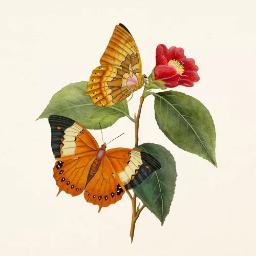 Falinaptár képes lemeznaptár 300x300mm, Butterflies Realsystem 2027.