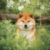 Falinaptár képes lemeznaptár 300x300mm, Happy Doge Realsystem 2027.