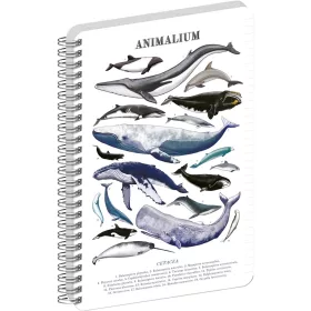   Jegyzetfüzet ikerspirálos Animalium – Marine Life, vonalas, 21x29,7cm A4, Presco