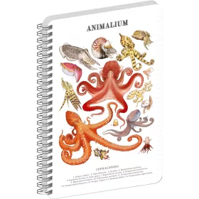   Jegyzetfüzet ikerspirálos Animalium – Cephalopods, vonalas, 14,8x21cm A5, Presco
