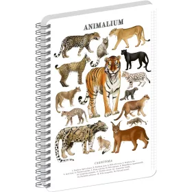   Jegyzetfüzet ikerspirálos Animalium – Felines, négyzethálós, 21x29,7cm A4, Presco