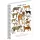 Jegyzetfüzet ikerspirálos Animalium – Felines, négyzethálós, 14,8x21cm A5, Presco