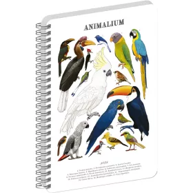   Jegyzetfüzet ikerspirálos Animalium – Birds, sima, 21x29,7cm A4, Presco