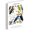 Jegyzetfüzet ikerspirálos Animalium – Birds, sima, 14,8x21cm A5, Presco