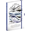 Keménytáblás tervező krémszínű lapokkal, kétheti beosztással, leszorító gumiszalaggal Marine Life 130x210mm, Presco