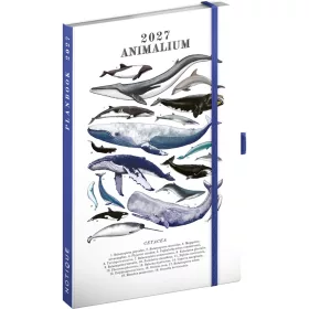  Keménytáblás tervező krémszínű lapokkal, kétheti beosztással, leszorító gumiszalaggal Marine Life 130x210mm, Presco