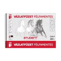 Vázlatfüzet, rajzfüzet