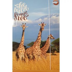   Gumis mappa T-Creatív, A/4, "be wild and free" UTOLSÓ DARAB