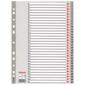 ESSELTE Regiszter, műanyag, A4, 1-31, ESSELTE, szürke
