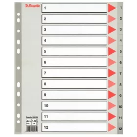 ESSELTE Regiszter, műanyag, A4 Maxi, 1-12, ESSELTE, szürke