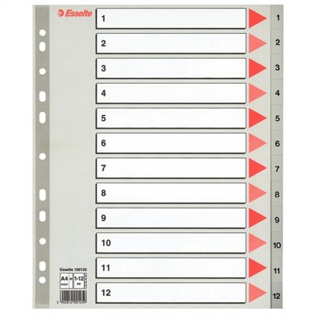 ESSELTE Regiszter, műanyag, A4 Maxi, 1-12, ESSELTE, szürke