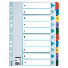   ESSELTE Regiszter, karton, A4, 1-10, ESSELTE "Mylar"