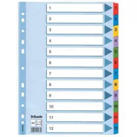   ESSELTE Regiszter, karton, A4, 1-12, ESSELTE "Mylar"