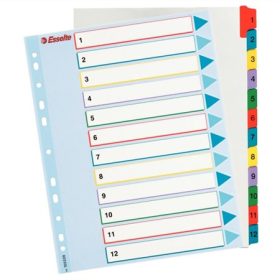   ESSELTE Regiszter, laminált karton, A4 Maxi, 1-12, újraírható, ESSELTE