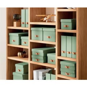   LEITZ Iratpapucs, karton, 100 mm, LEITZ "Puro", zsályazöld