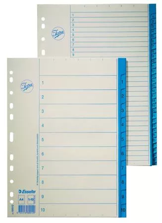 ESSELTE Regiszter, karton, A4, 1-12, ESSELTE, fehér