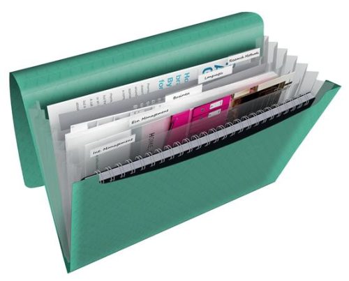 ESSELTE Harmonikamappa, A4, PP, 6 rekeszes, ESSELTE "Colour'Breeze", zöld