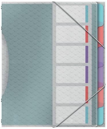 ESSELTE Előrendező, A4, 6 részes, műanyag, ESSELTE "Colour’Breeze", áttetsző