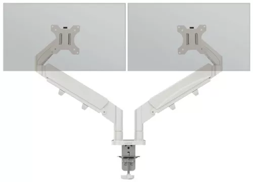 LEITZ Monitortartó-kar, kettő monitorhoz, LEITZ "Ergo Dual", világosszürke