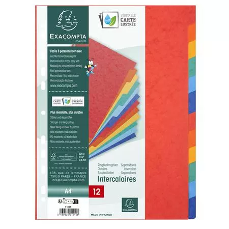 EXACOMPTA Regiszter, karton, A4, 12 részes, EXACOMPTA, színes