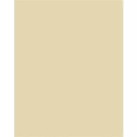   FOLIA Dekorkarton, 2 oldalas, 50x70cm, 220 g, 10 lap, FOLIA, bézs