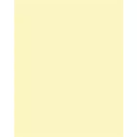   FOLIA Dekorkarton, 2 oldalas, 50x70cm, 220 g, 10 lap, FOLIA, szalmasárga