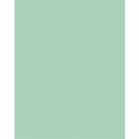   FOLIA Dekorkarton, 2 oldalas, 50x70cm, 220 g, 10 lap, FOLIA, menta