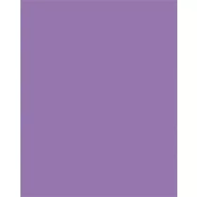   FOLIA Dekorkarton, 2 oldalas, 50x70cm, 220 g, 10 lap, FOLIA, sötét orgonalila