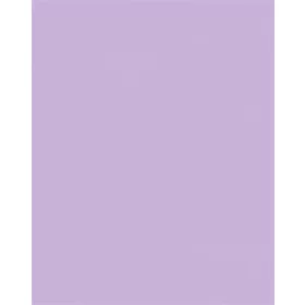   FOLIA Dekorkarton, 2 oldalas, 50x70cm, 220 g, 10 lap, FOLIA, orgonalila