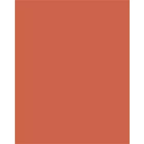   FOLIA Dekorkarton, 2 oldalas, 50x70cm, 220 g, 10 lap, FOLIA, narancssárga