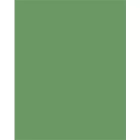   FOLIA Dekorkarton, 2 oldalas, 50x70cm, 220 g, 10 lap, FOLIA, mohazöld