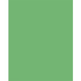   FOLIA Dekorkarton, 2 oldalas, 50x70cm, 220 g, 10 lap, FOLIA, smaragdzöld