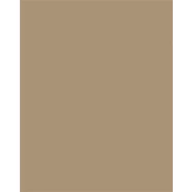   FOLIA Dekorkarton, 2 oldalas, 50x70cm, 220 g, 10 lap, FOLIA, őzbarna