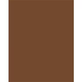   FOLIA Dekorkarton, 2 oldalas, 50x70cm, 220 g, 10 lap, FOLIA, csokoládébarna