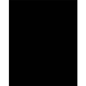   FOLIA Dekorkarton, 2 oldalas, 50x70cm, 220 g, 10 lap, FOLIA, fekete