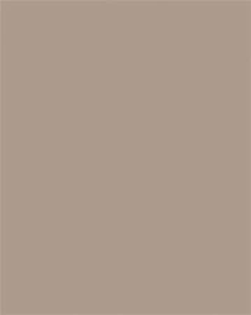 FOLIA Dekorkarton, 2 oldalas, A4, 300 g, 50 lap, FOLIA, cappuccino