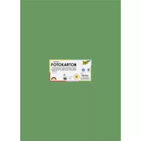   FOLIA Dekorkarton, 2 oldalas, 50x70 cm, 300 g, 10 lap, FOLIA, mohazöld