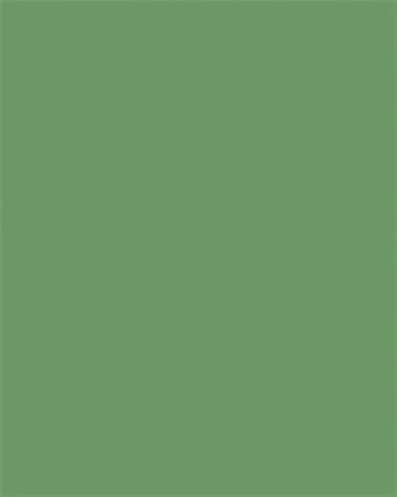 FOLIA Dekorkarton, 2 oldalas, 50x70 cm, 300 g, 10 lap, FOLIA, mohazöld