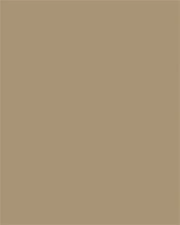 FOLIA Dekorkarton, 2 oldalas, 50x70 cm, 300 g, 10 lap, FOLIA, őzbarna